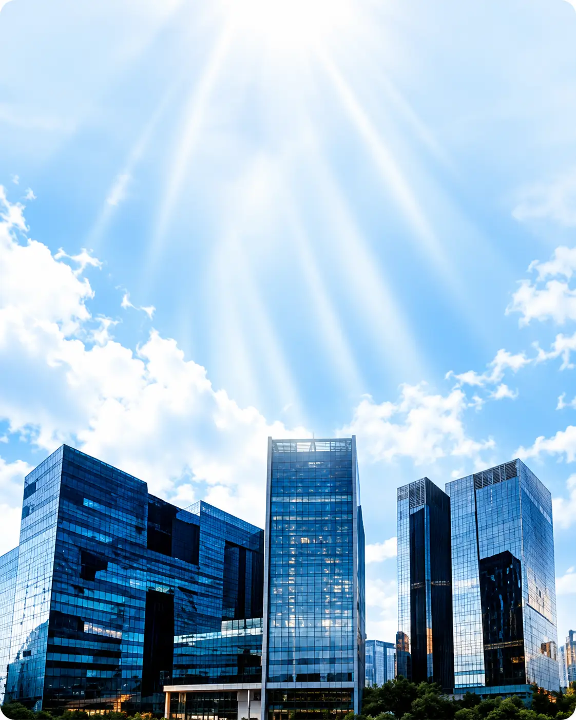 Large Networks & Enterprises